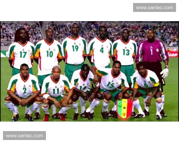 塞内加尔世界杯之旅：非洲雄狮如何在全球舞台上崭露头角